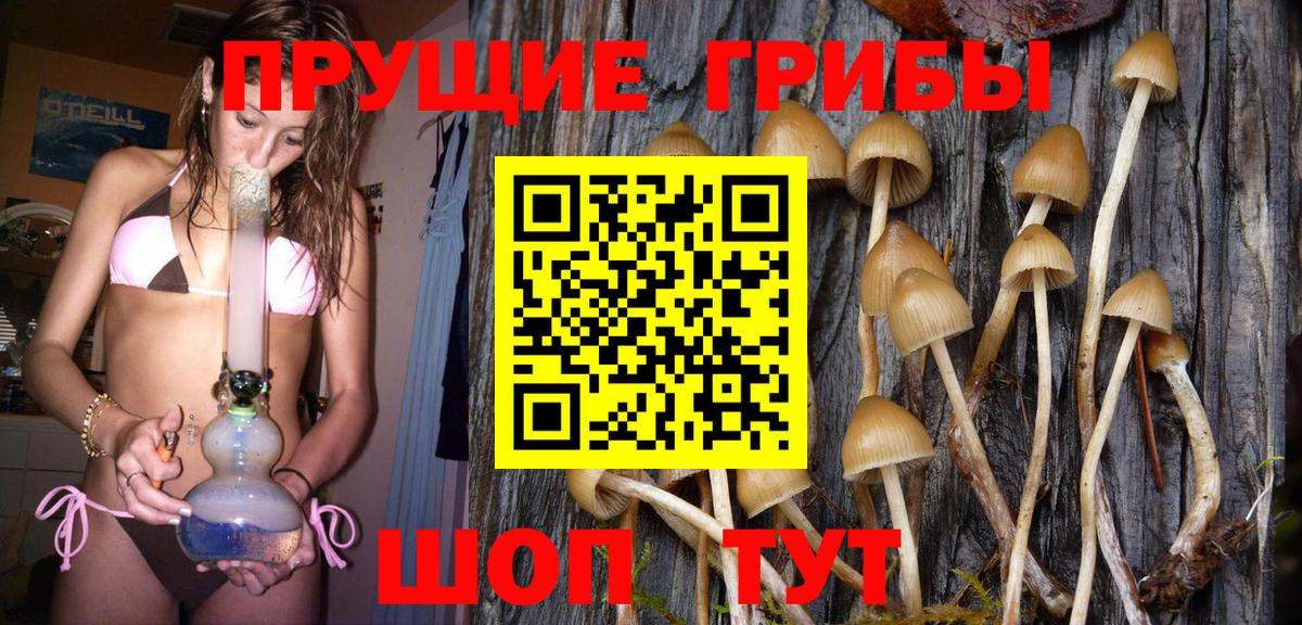 Галлюциногенные грибы Magic Shrooms  Псилоцибиновые грибы мицелий  Южноуральск  Вход с VPN 